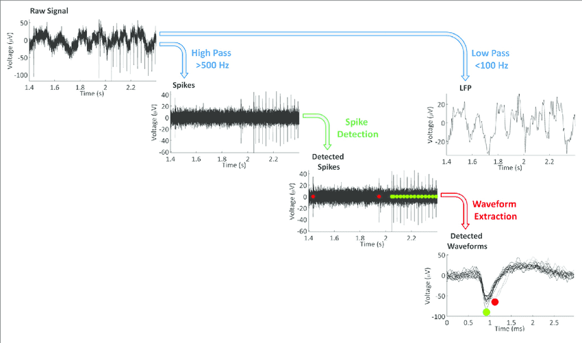 Signal processing hardware for sensor data